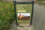 PICTURES/Ring of Brodgar, Standing Stones of Stennes & Maeshowe Cairn/t_Sign3.JPG